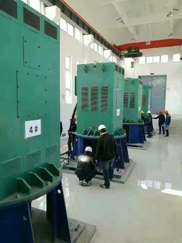 Y500-8C某污水处理厂使用我厂的立式高压电机安装现场