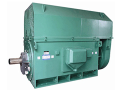 Y500-8CY系列6KV高压电机