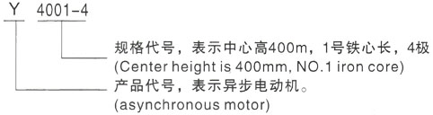 西安泰富西玛Y系列(H355-1000)高压Y500-8C三相异步电机型号说明